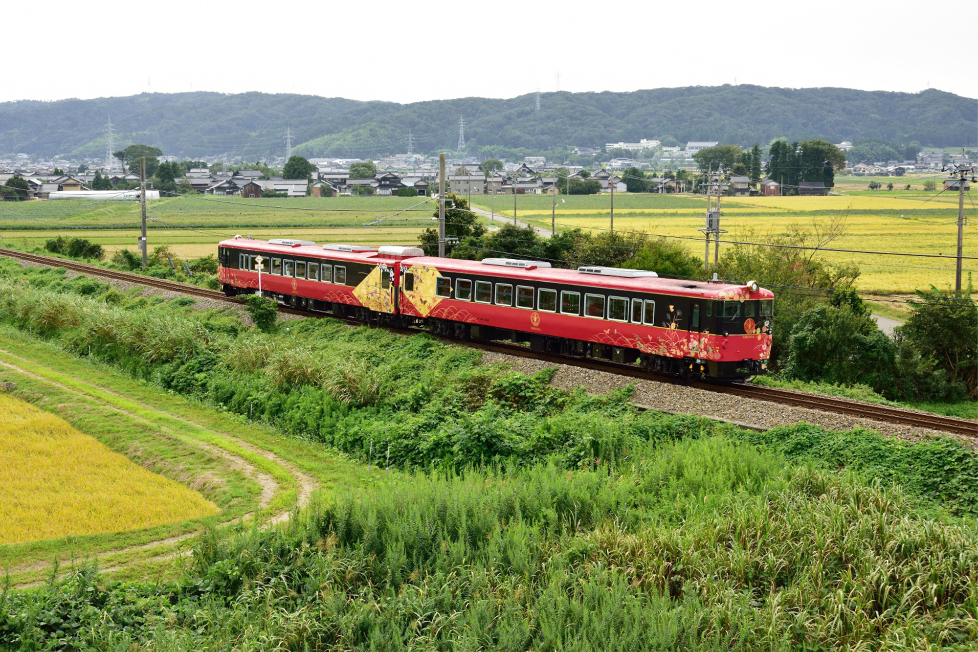 花嫁暖簾　花嫁のれん　鴛鴦　 間仕切り 花嫁暖簾 花嫁のれん 鴛鴦 間仕切り 花嫁暖簾 花嫁のれん 鴛鴦