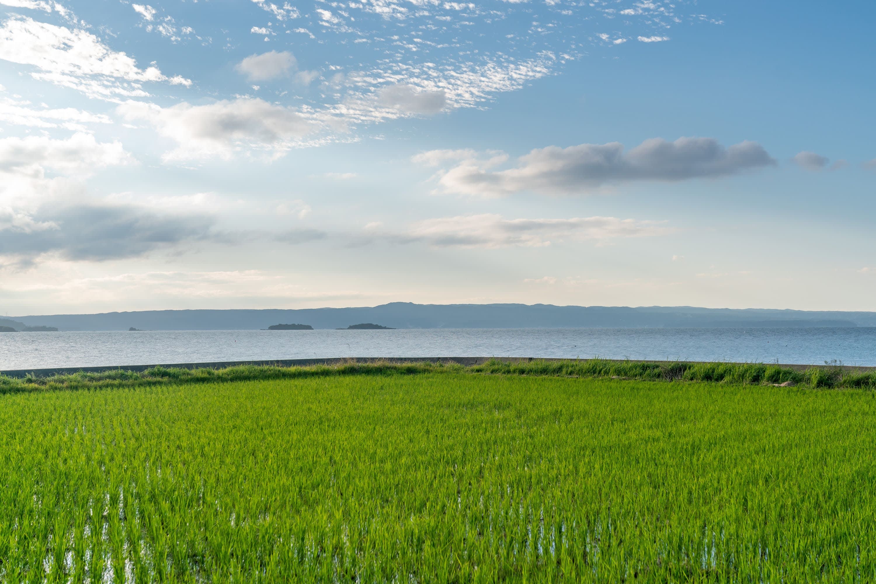 Ishikawa Farmstay: A Rural Retreat in Japan's Hidden Heartland - Day2