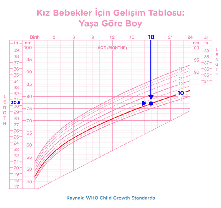 bebek gelisim tablosu prima