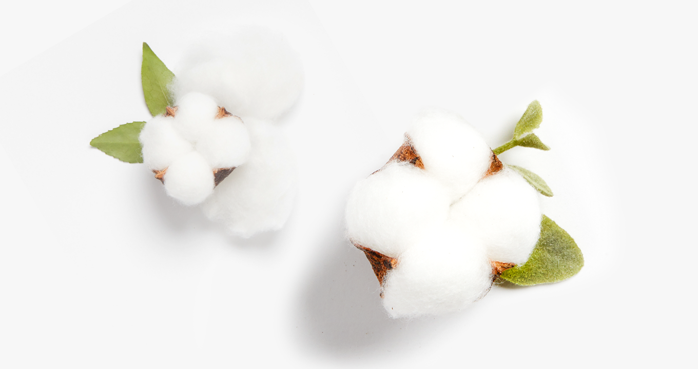 Prima®  Aqua Pure Islak Havlu 