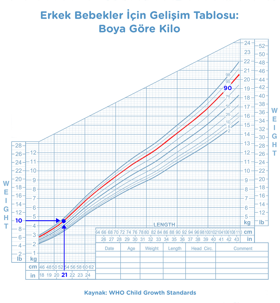 8 aylık erkek bebek boy kilo