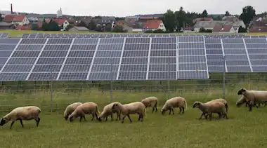 Photovoltaikanlage der EnBW in Berghülen