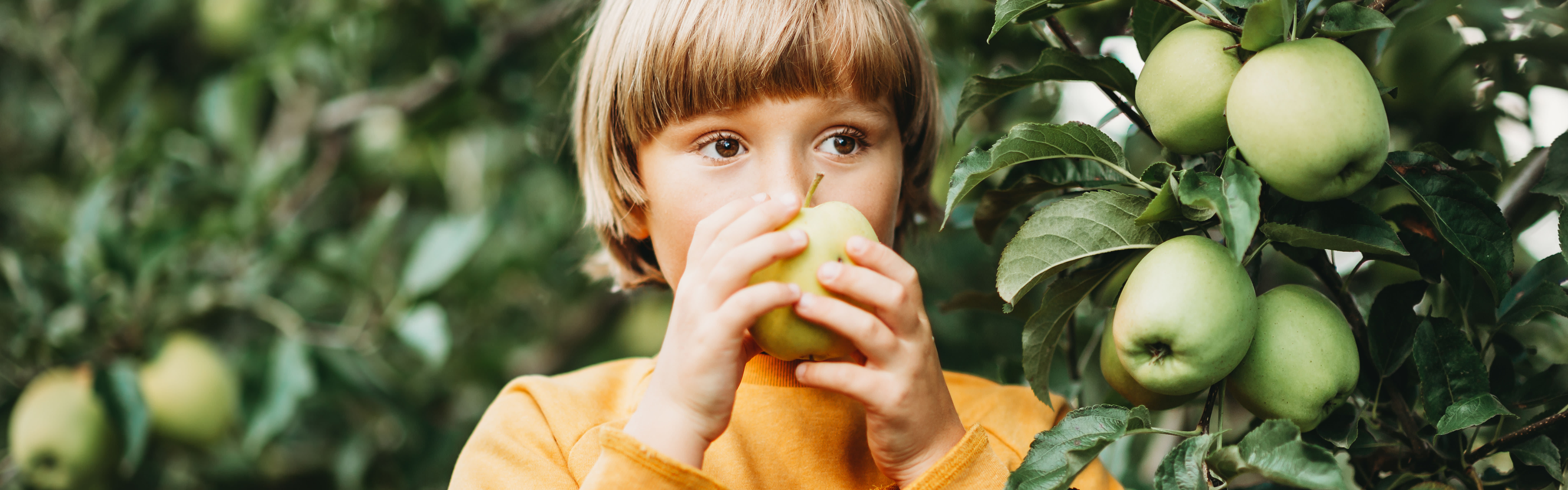 Kind mit Apfel in der Hand