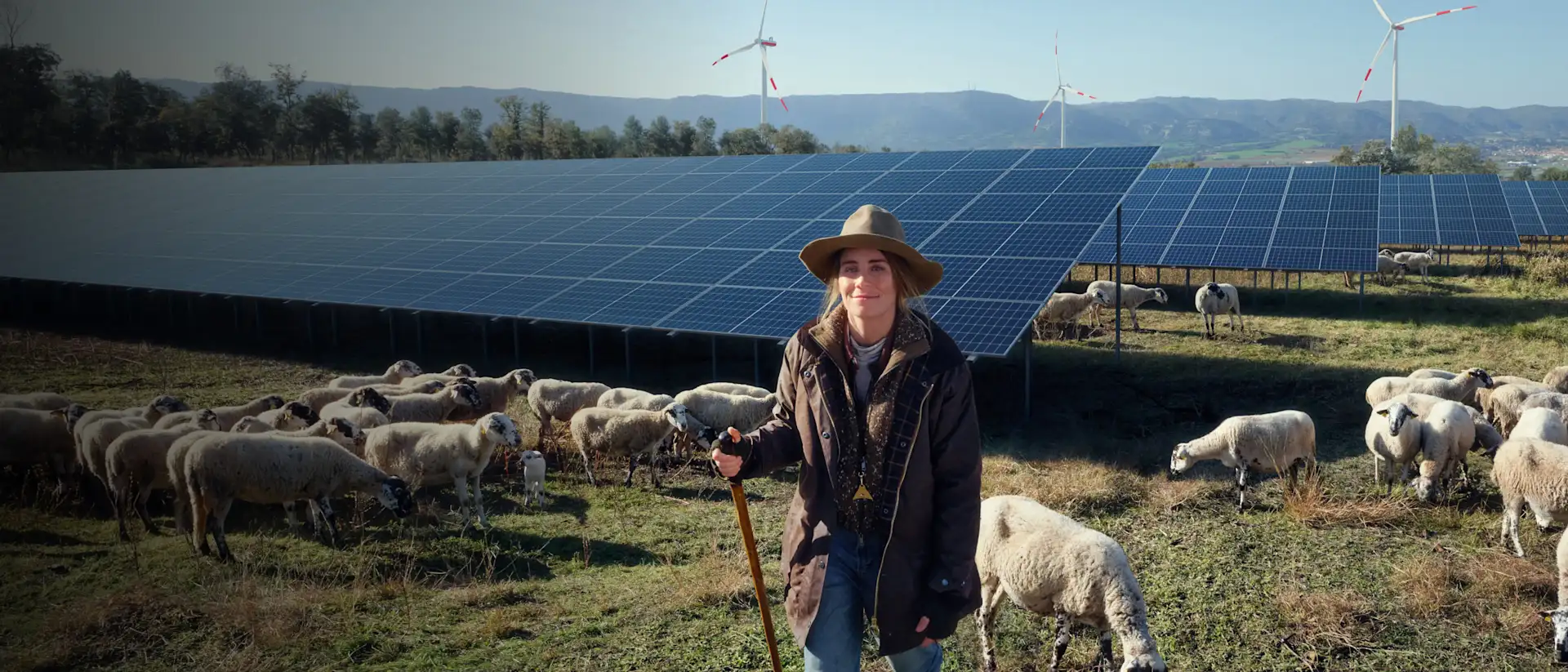 Schäferin vor Solarpark