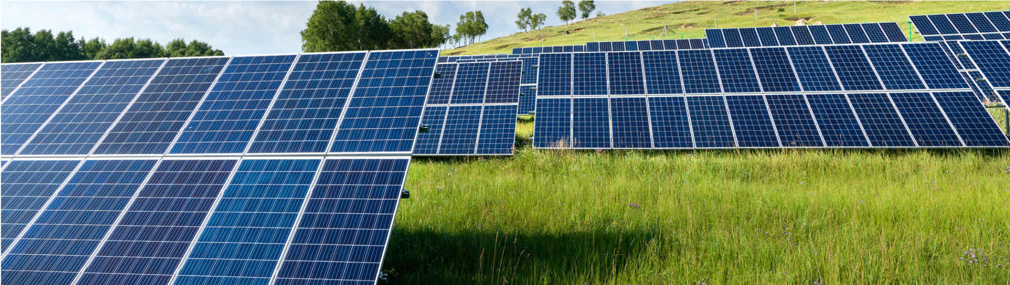 Solaranlage auf grüner Wiese