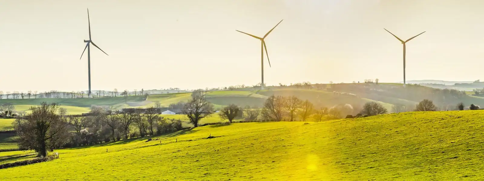 Windräder in grüner Landschaft im Sonnenuntergang.