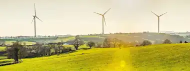 Windräder in grüner Landschaft im Sonnenuntergang.