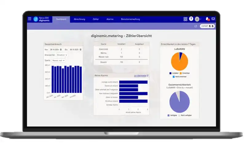 EnBW Diginamic Metering Portal Dashboard Diagramme Laptop Netze BW