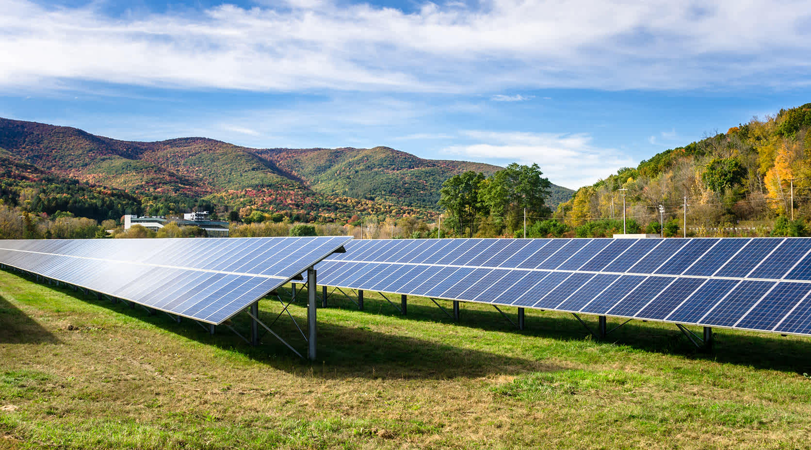 Solaranlagen auf einer grünen Wiese