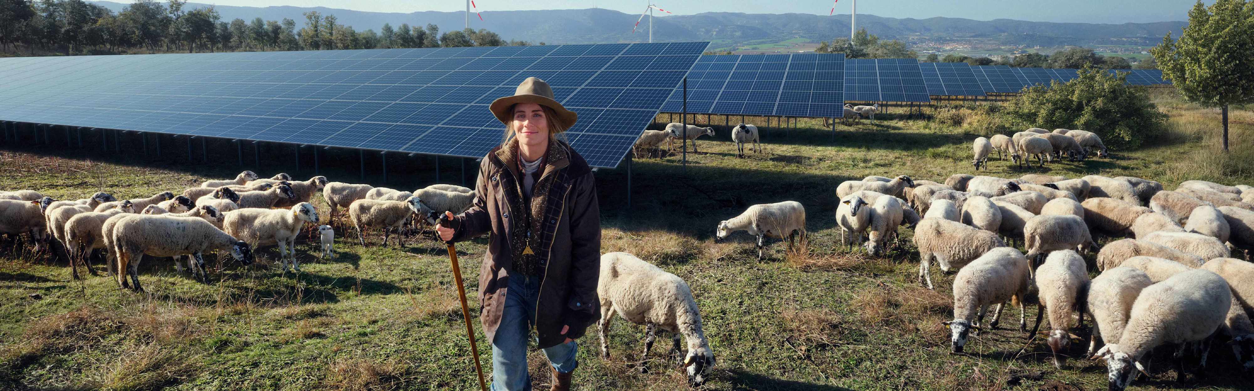 Schäferin vor Solarpark