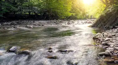 Wasserkraft eines Flusses im Wald