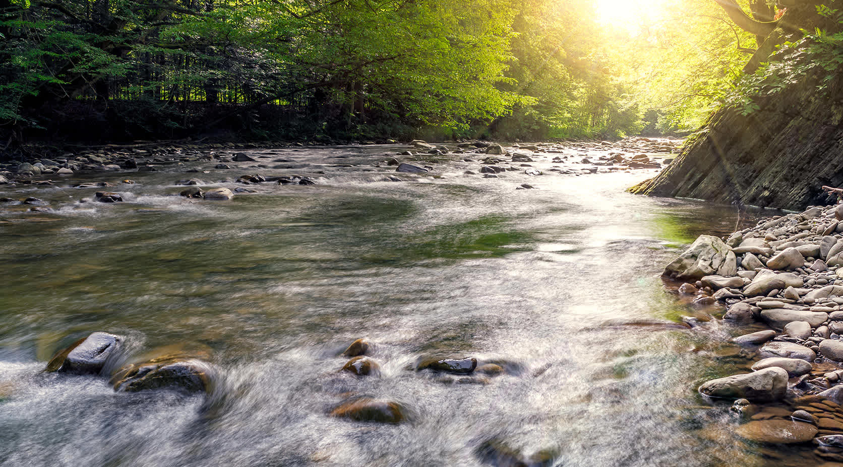 Wasserkraft eines Flusses im Wald