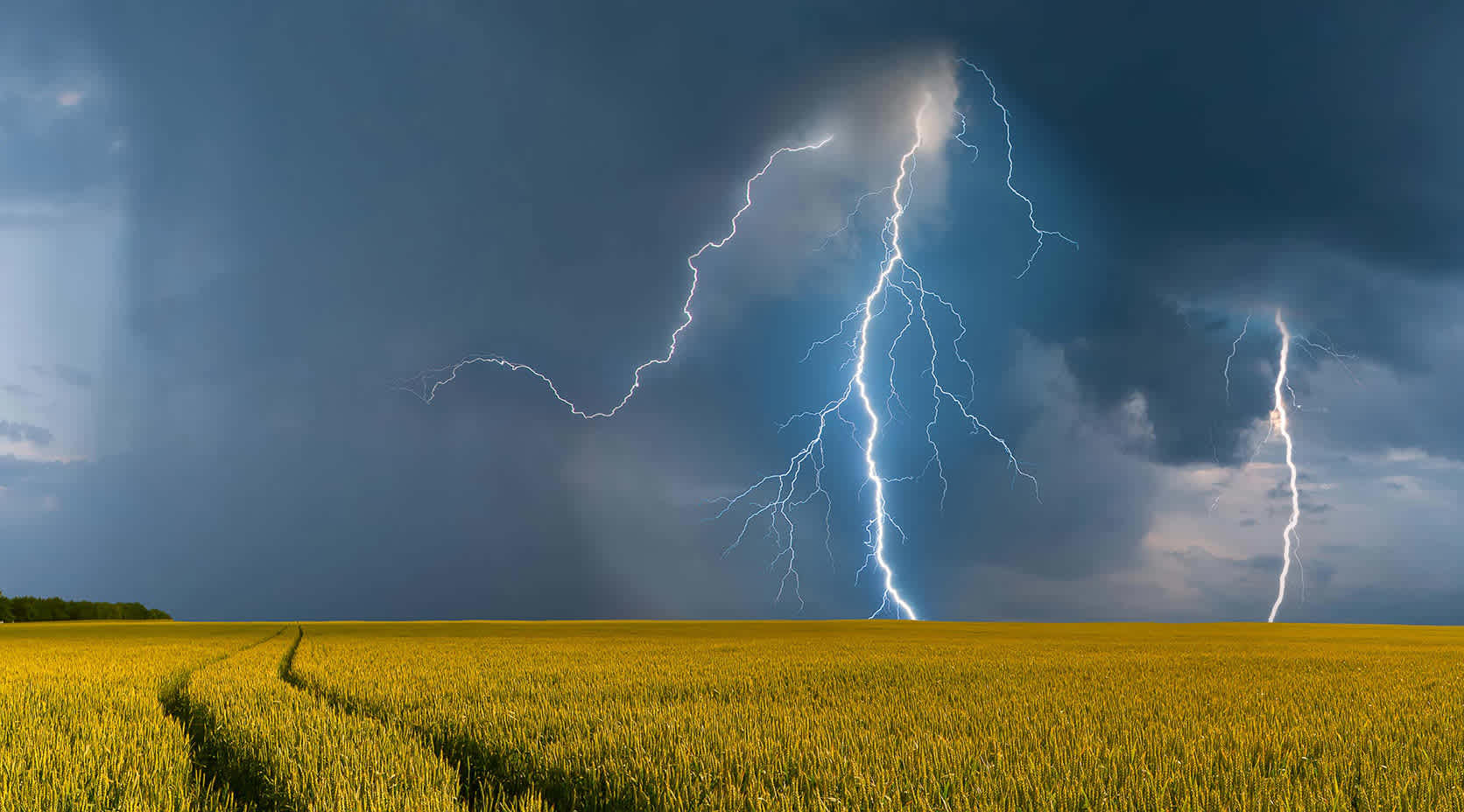 Sturm und Blitze über einem Kornfeld