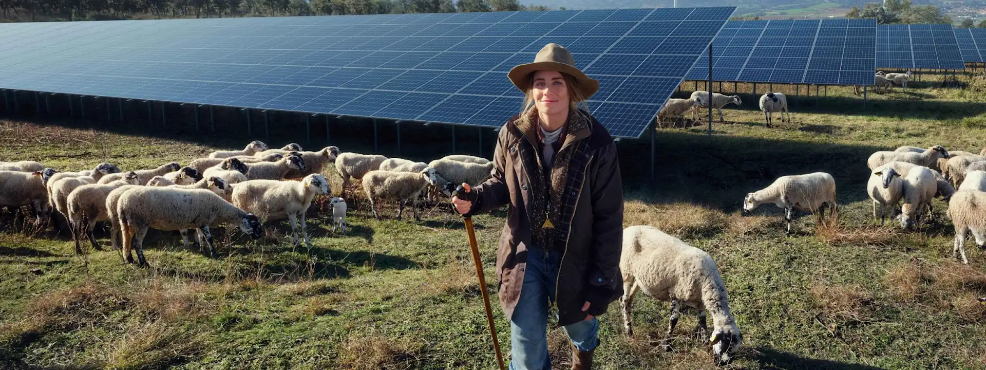 Schäferin auf einem Feld mit Solar