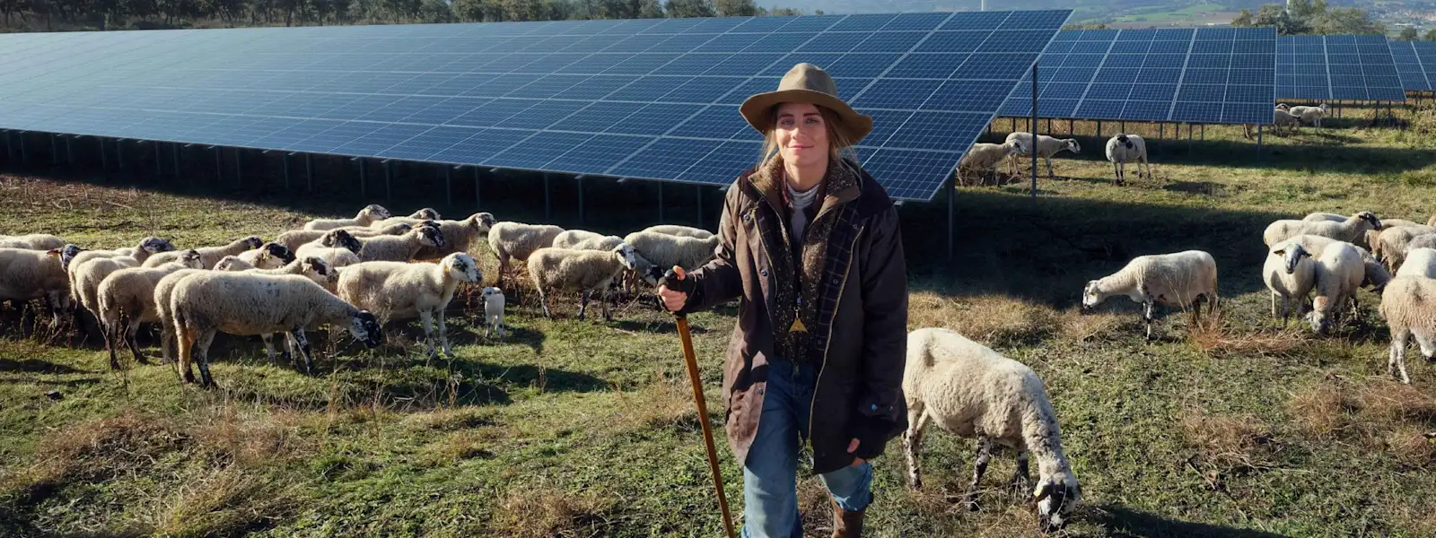 Schäferin auf einem Feld mit Solar