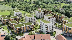 Wohnquartier mit bepflanzten Dächern