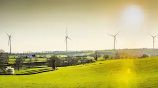 Feld mit Windraedern im Hintergrund.