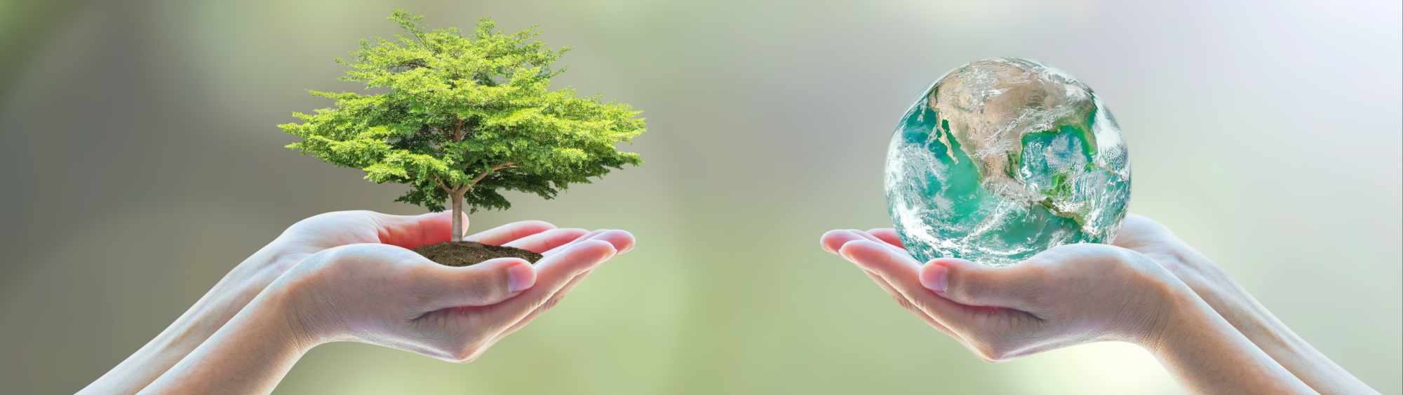 Nachhaltigkeit Contracting Erde Baum Hände