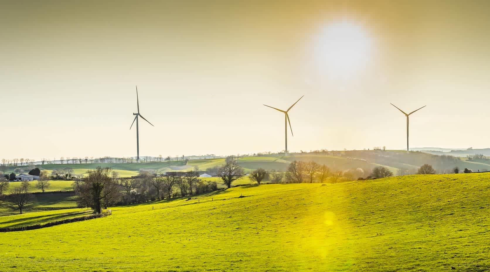 Idyllisches Landschaftspanorama mit Windrädern im Hintergrund