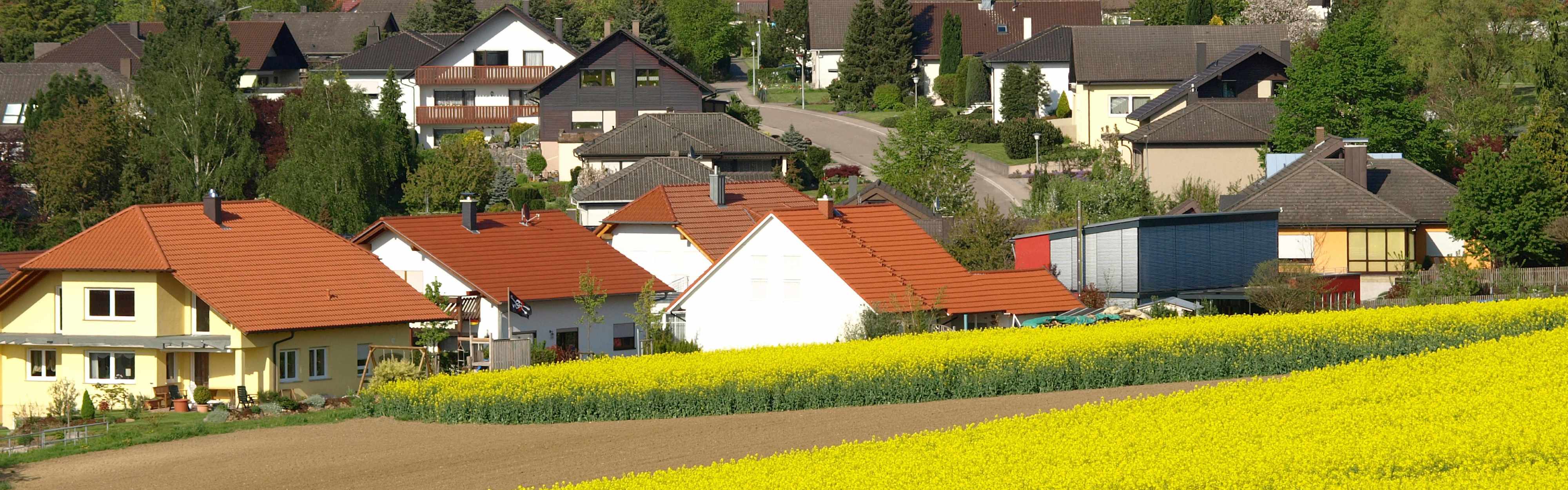 Dorf mit Rapsfeld und Wald