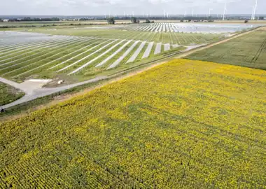 Vogelperspektive von Rapsfeld neben Photovoltaik-Park, im Hintergrund Windpark