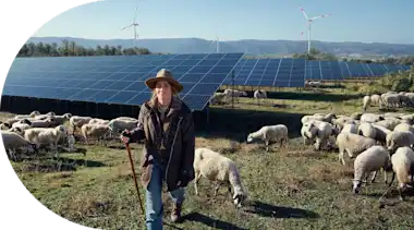Schäferin mit ihren Schafen im Hintergrund Solarmodule auf dem Feld.