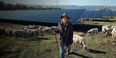 Schäferin vor Solarpark