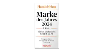 Vaillant Handelsblatt Siegel
