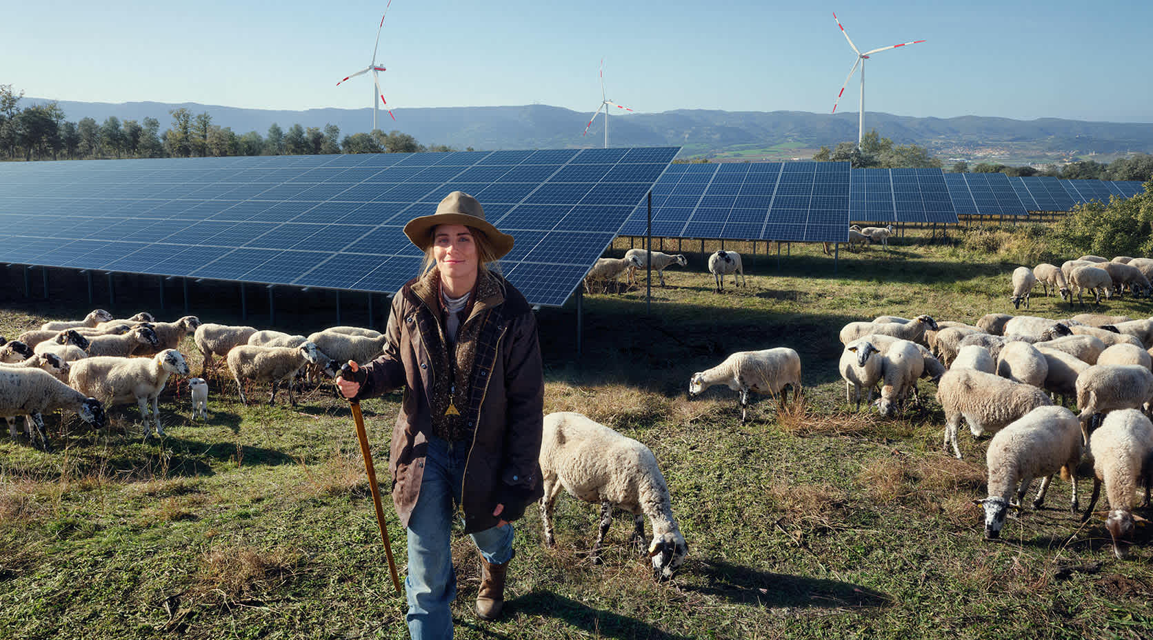 Schäferin mit ihren Schafen im Hintergrund Solarmodule auf dem Feld.