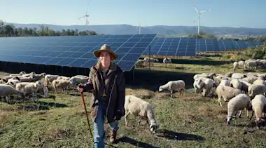 Schäferin mit ihren Schafen im Hintergrund Solarmodule auf dem Feld.