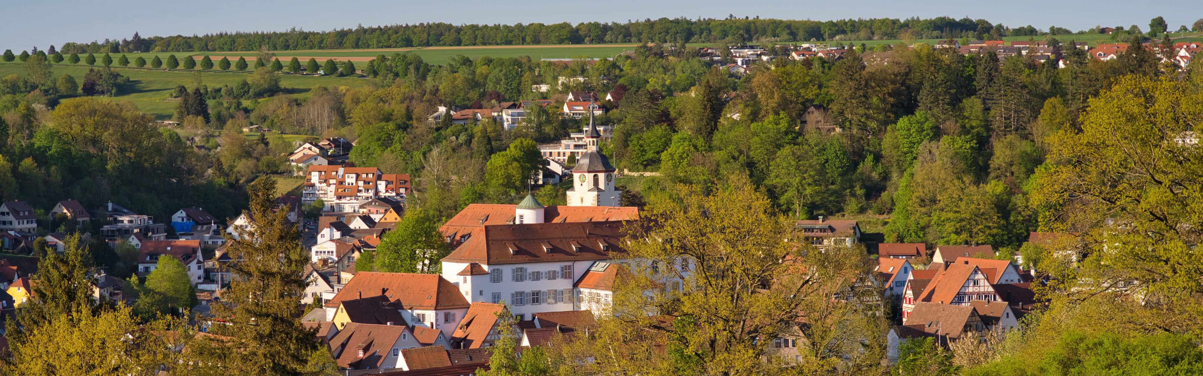 Waldenbuch Luftbild