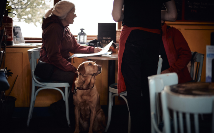 天気や気候を気にせず愛犬と店内で食事ができる 都内のおしゃれカフェ10選 第1弾 天気や気候を気にせず愛犬と店内で食事ができる 都内のおしゃれカフェ10選 第1弾