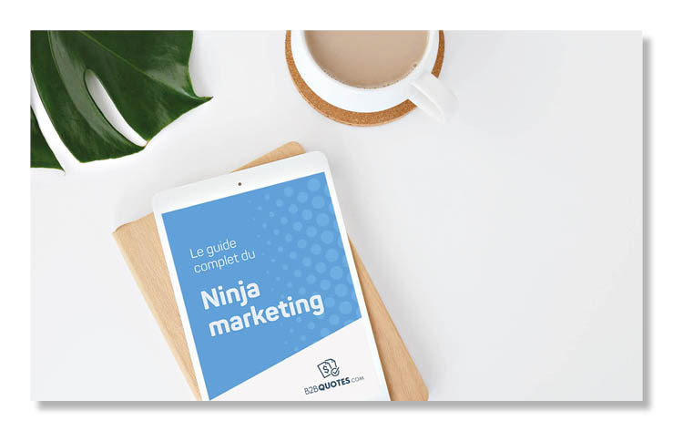 Le guide du Ninja marketing