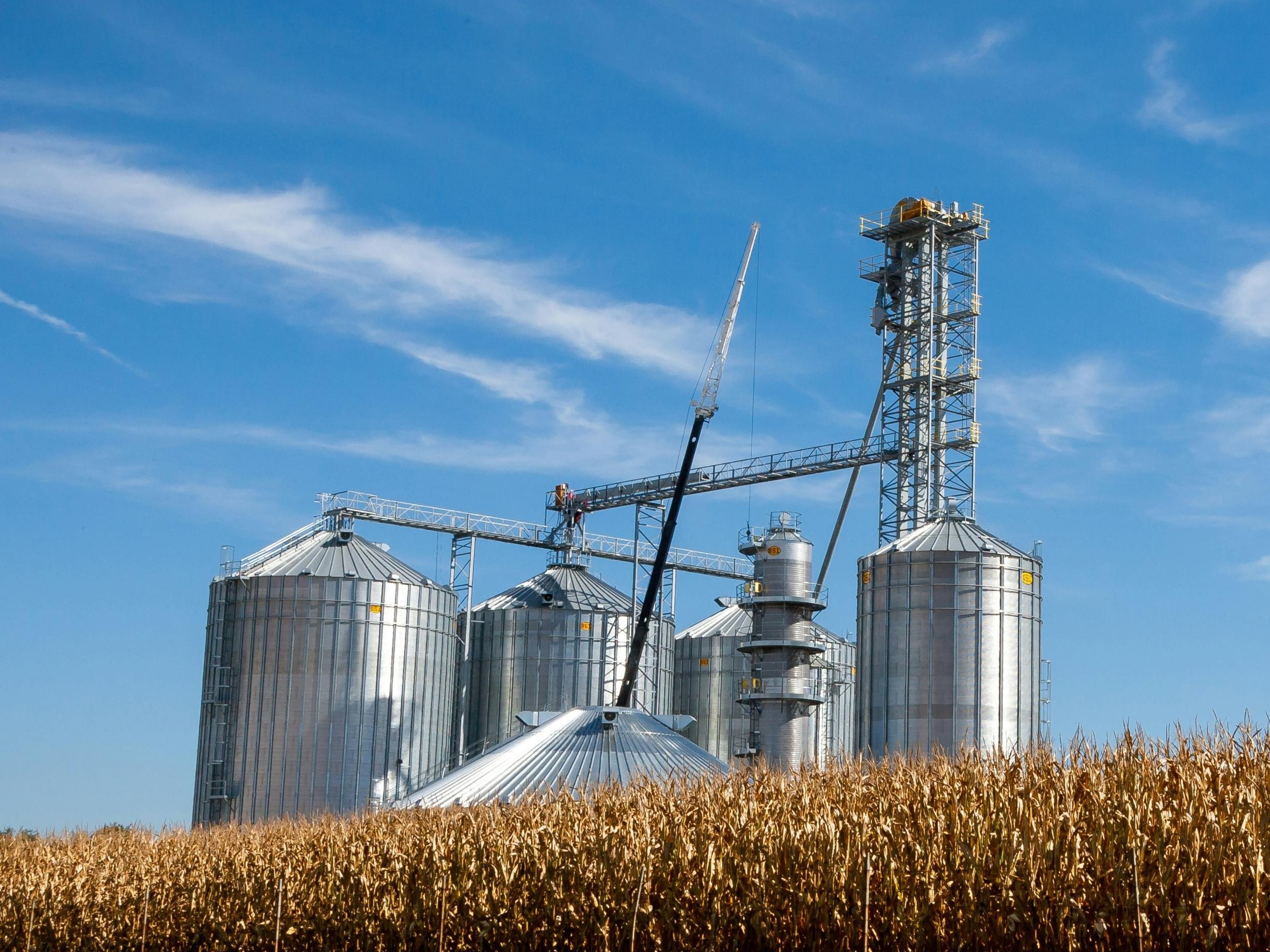 Agriculture