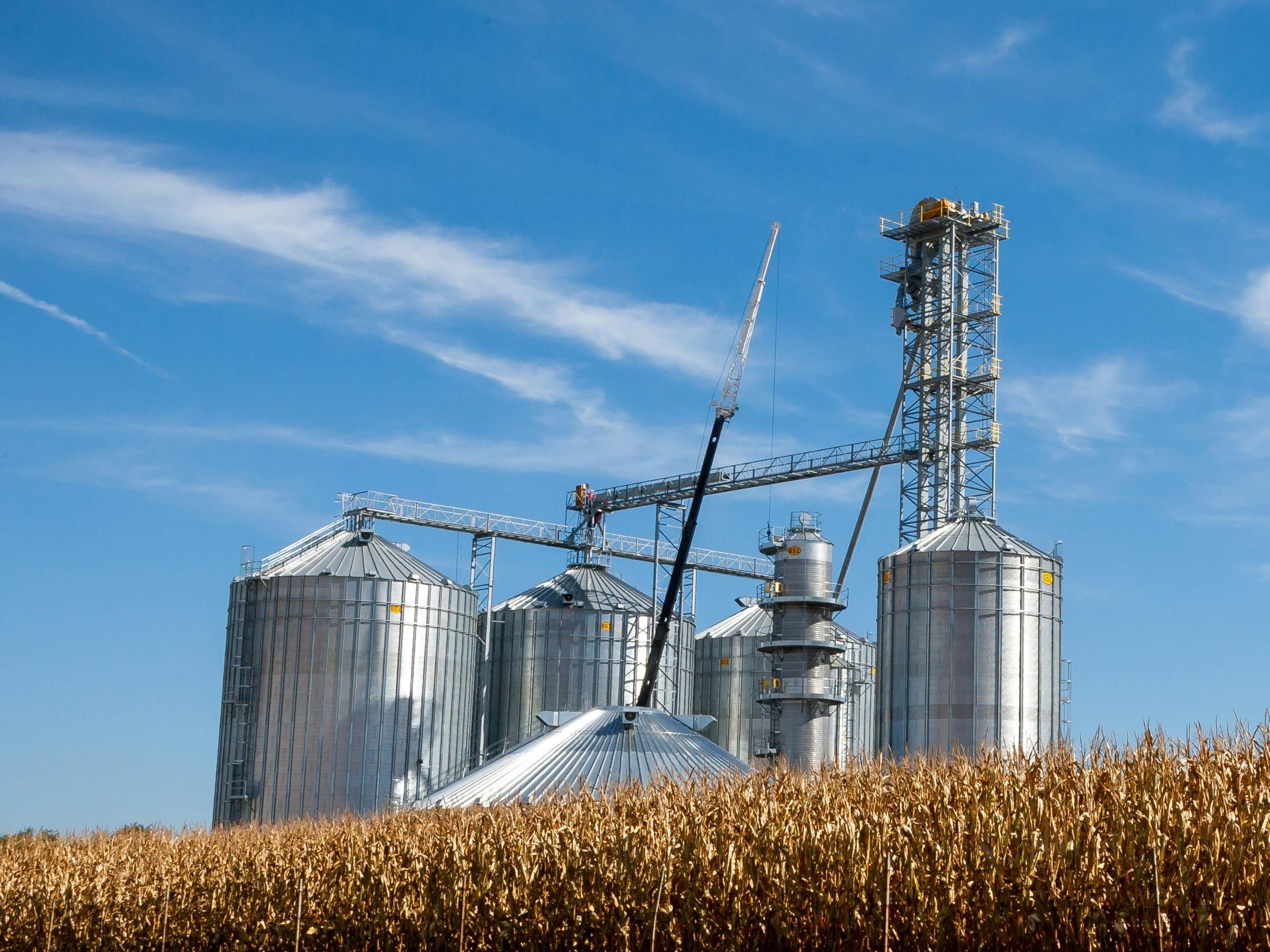 Agriculture