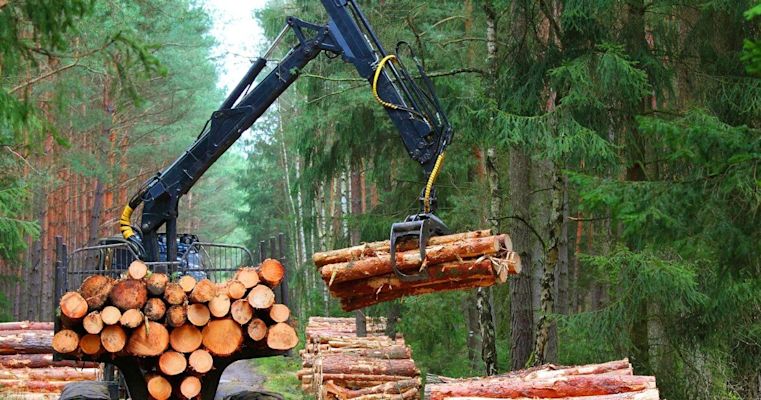 Forestry
