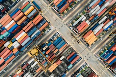 CanExport projects