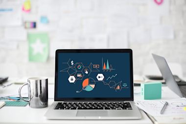 The different types of CMS