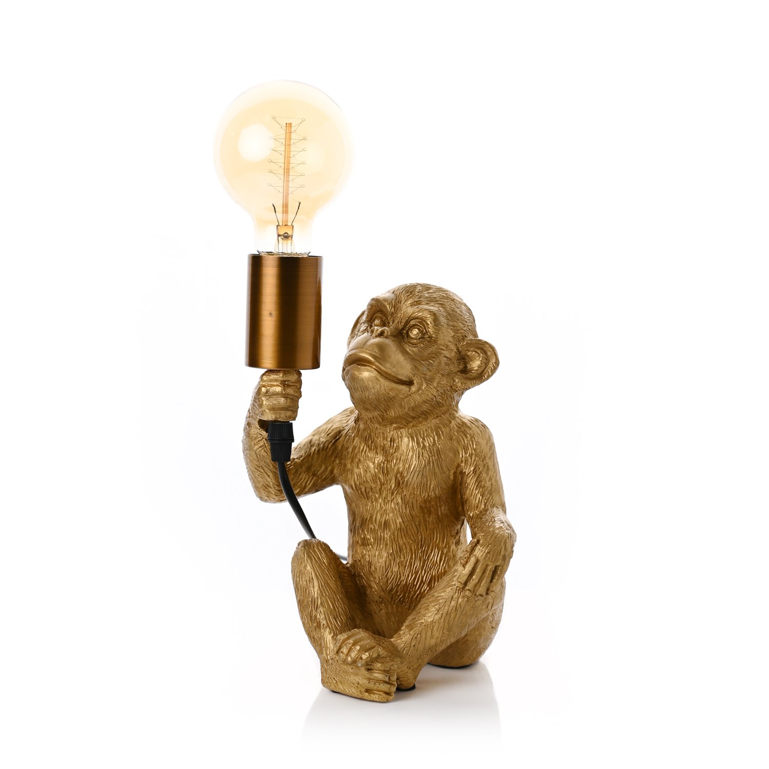 monkey holding lightbulb