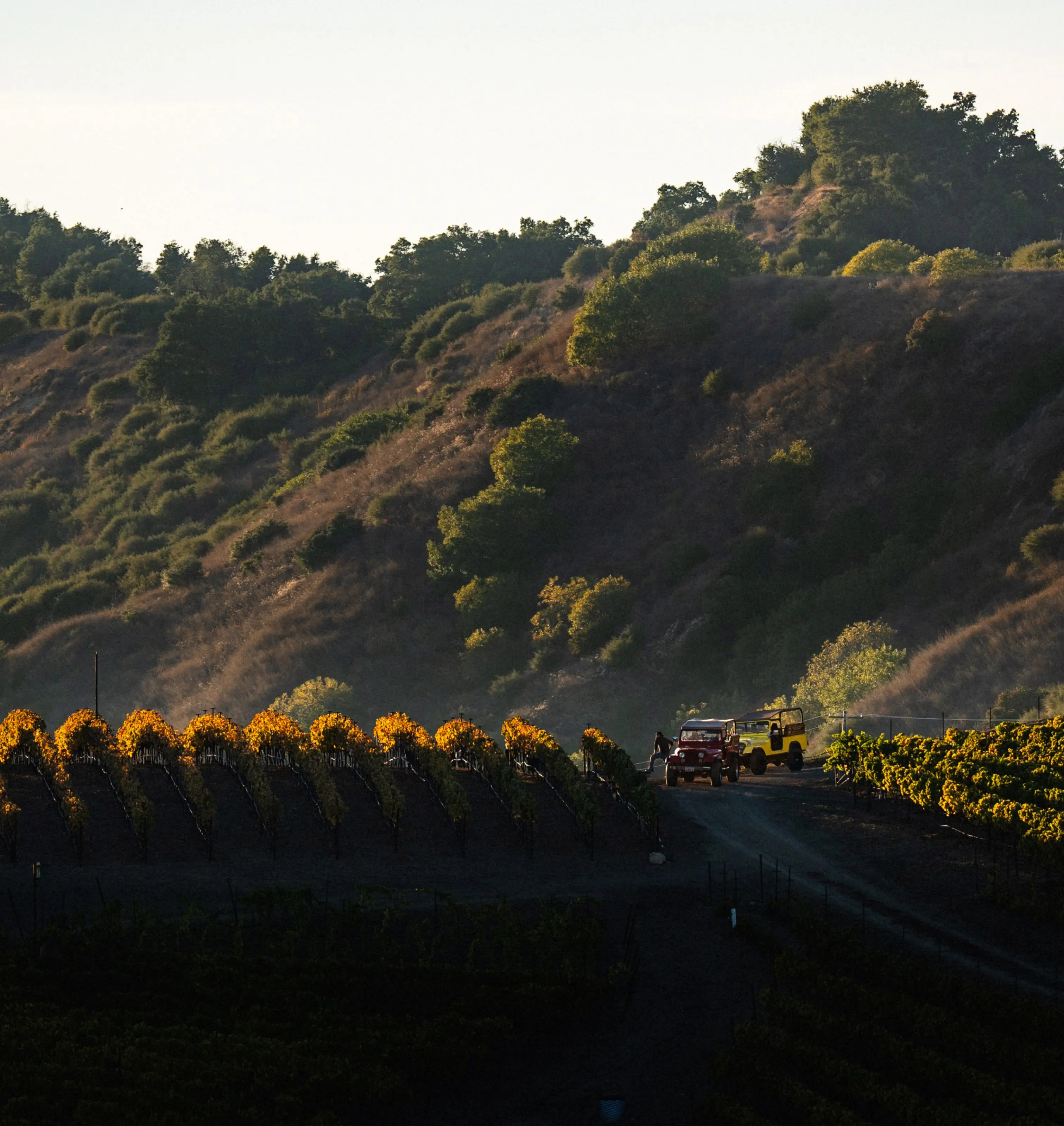 Jeep Tour | Slide 4