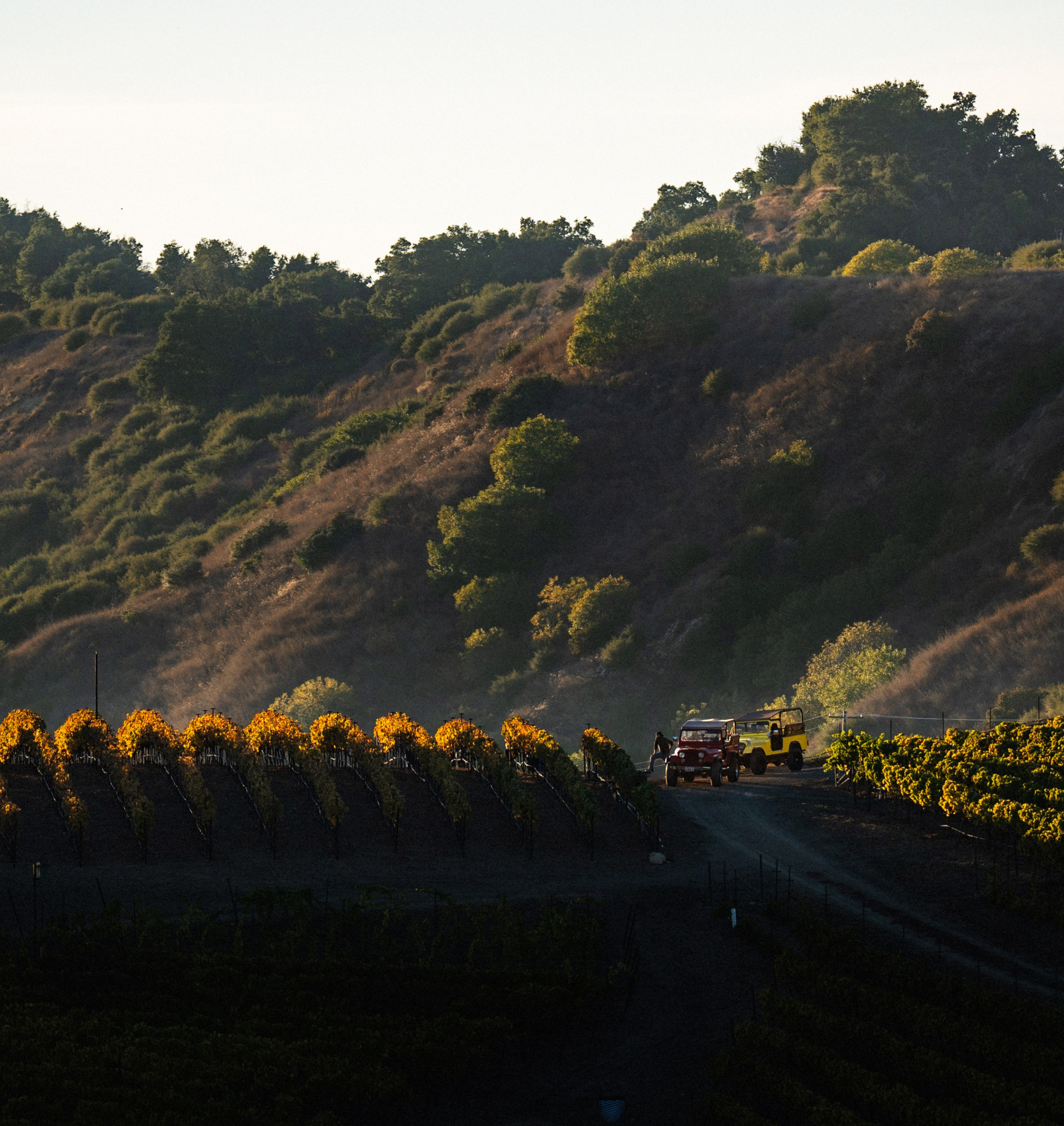 Jeep Tour | Slide 4 Jeep Tour | Slide 4