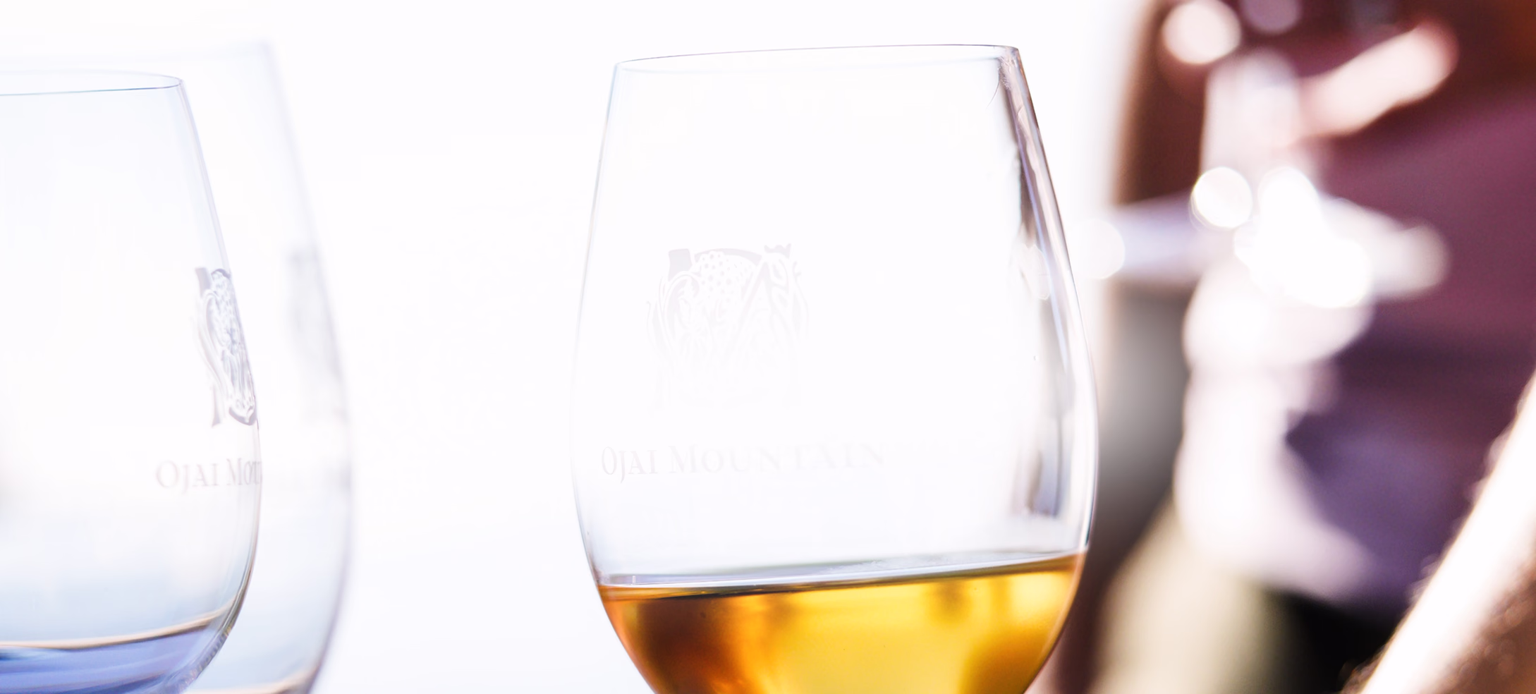 Two etched tasting glasses of Ojai Mountain white wine in daylight