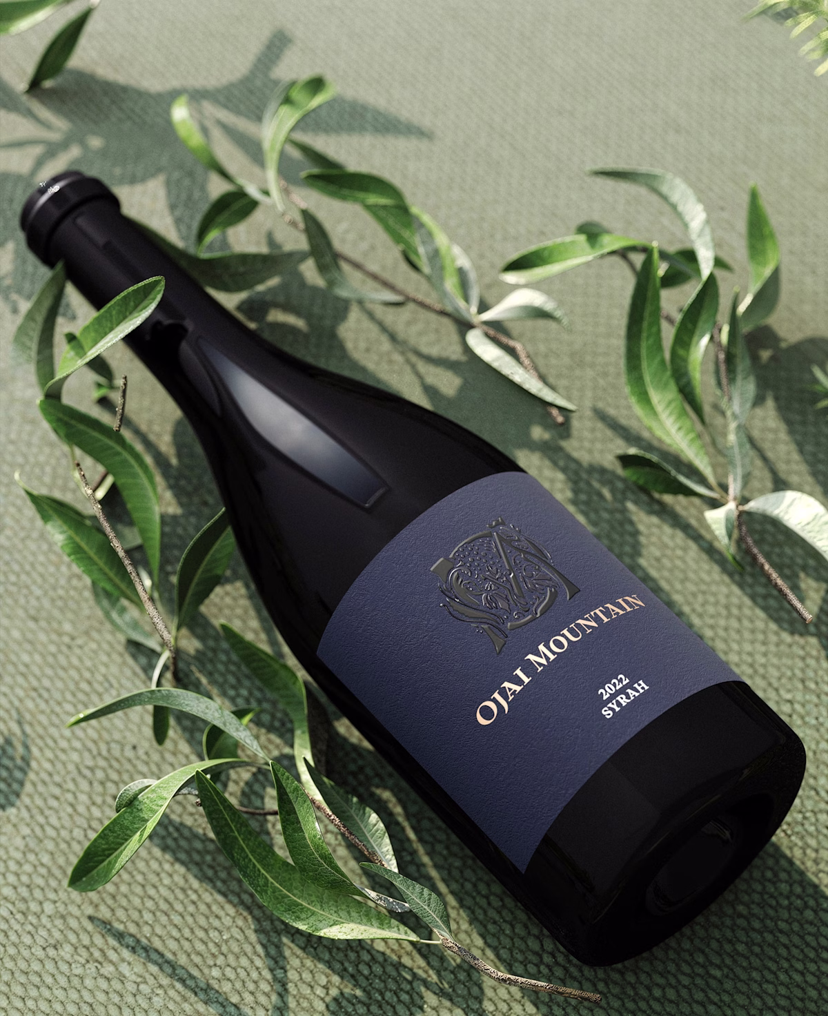 Syrah 2022 Main Image