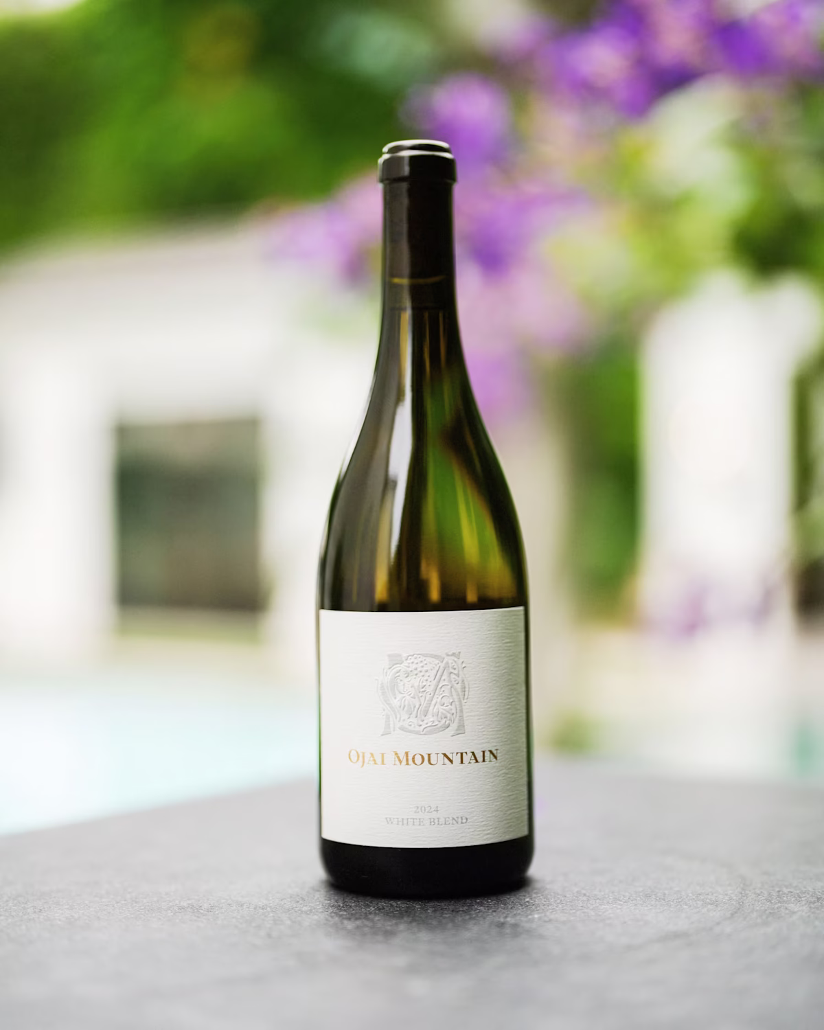 2024 White Gallery Image 01 2024 White Gallery Image 01