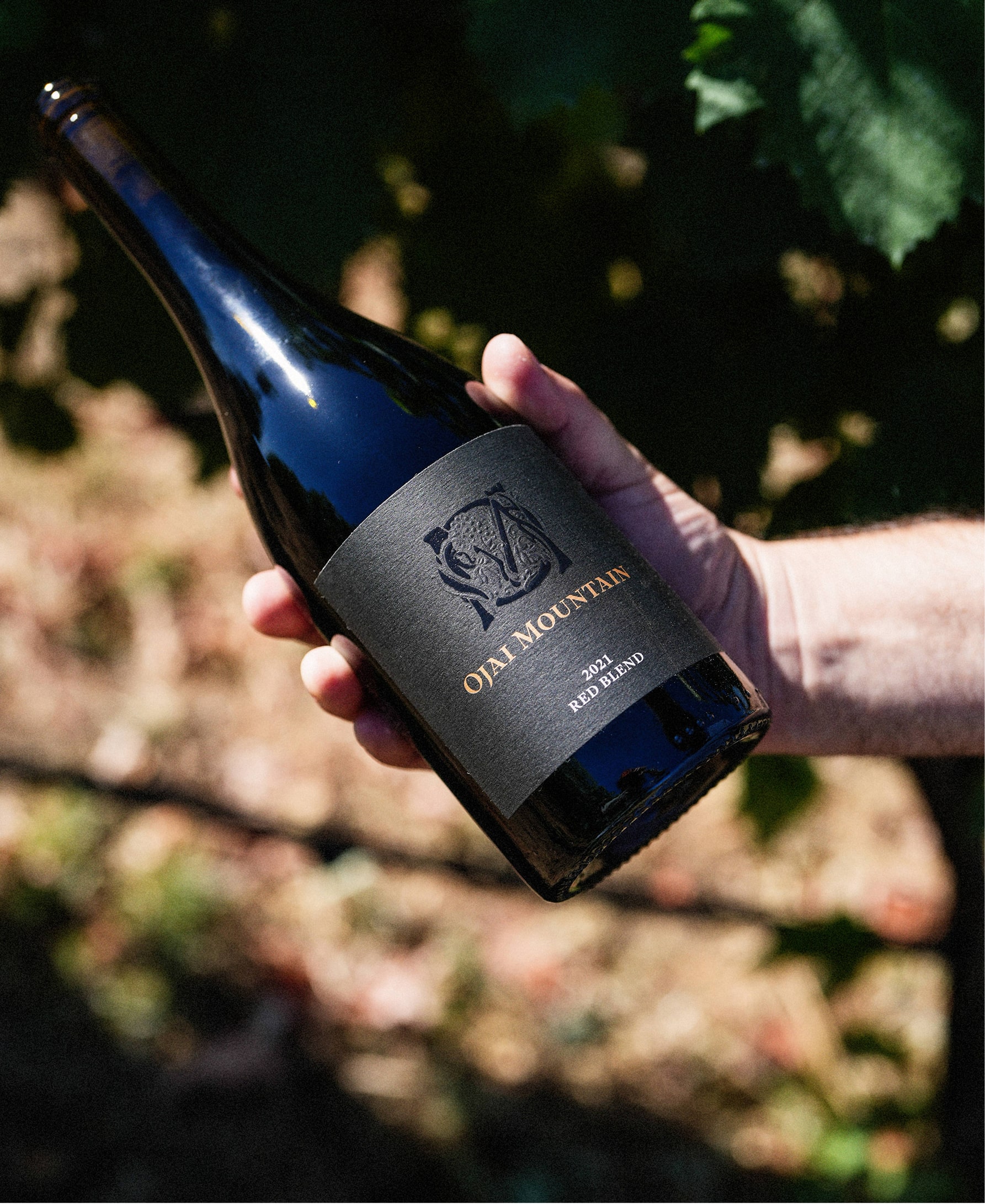 Estate_Red_2021_02 Estate_Red_2021_02