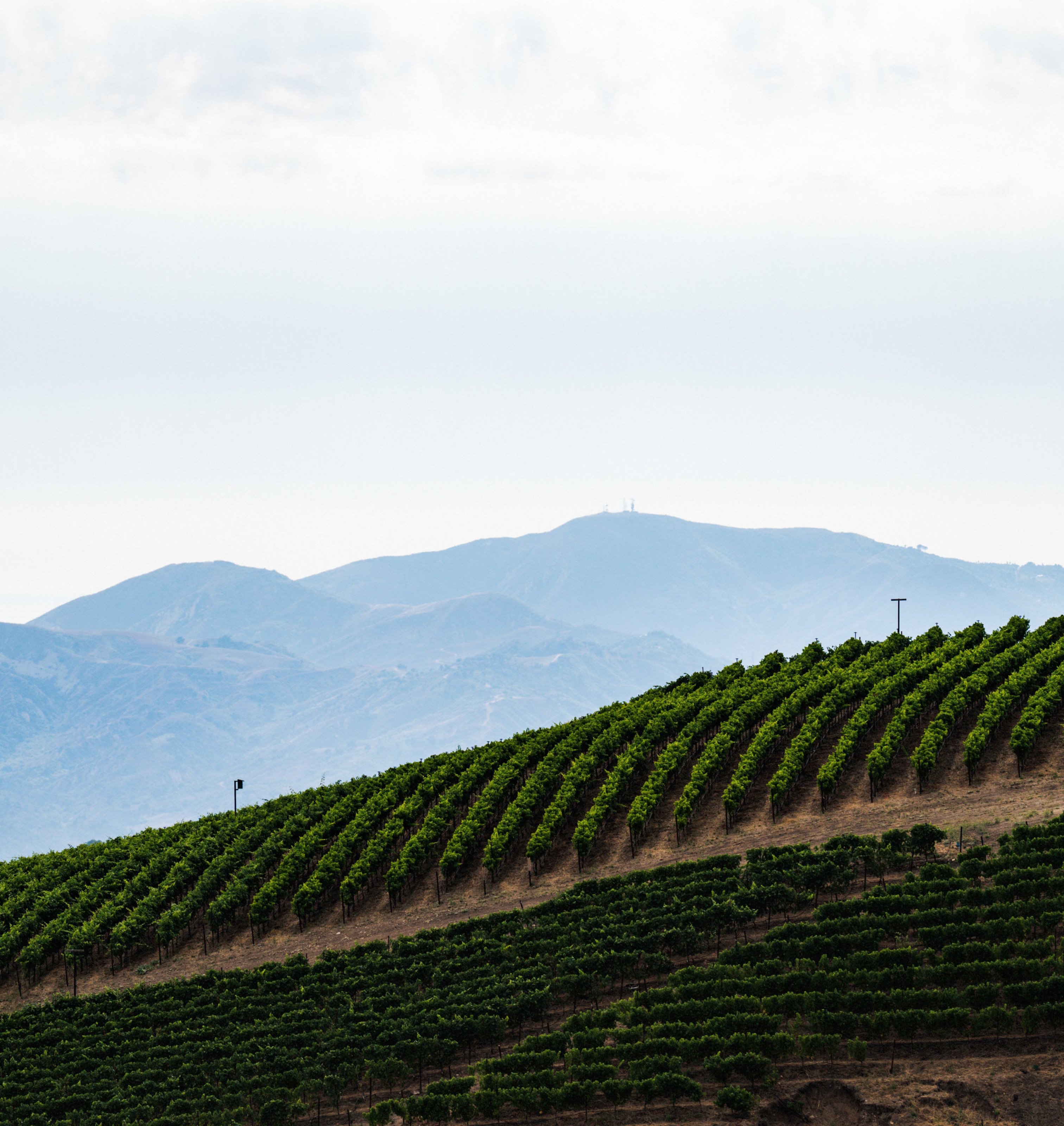 Private Estate Tour | Slide 7