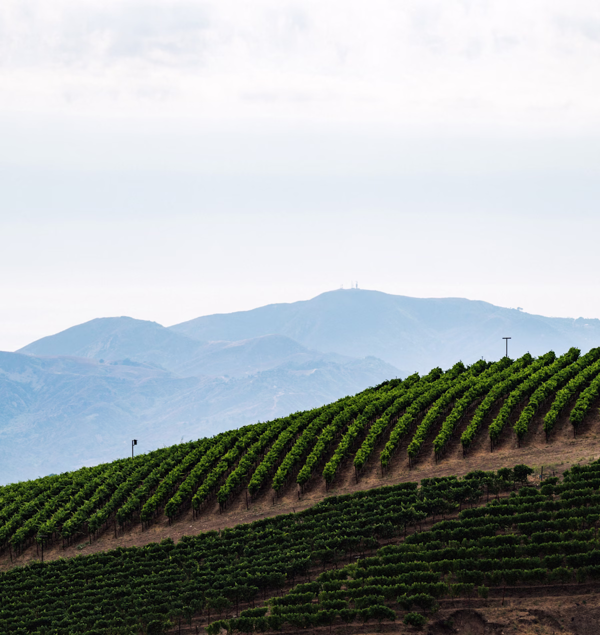 Private Estate Tour | Slide 7 Private Estate Tour | Slide 7