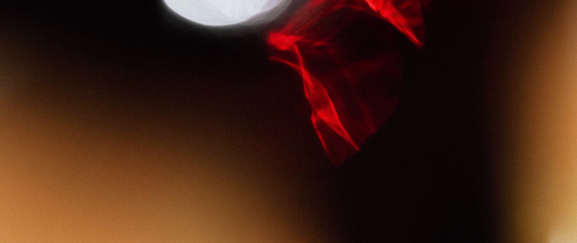 2024 Tempranillo, Backlit in the Glass Backlit Tempranillo swirling deep red in the glass against warm amber darkness
