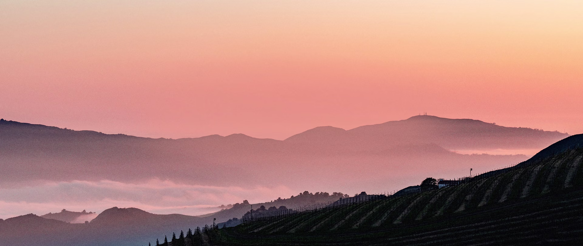 Ojai Mountain Estate at Dusk Pink and orange sunset over dark vineyard hills and a distant ridge.
