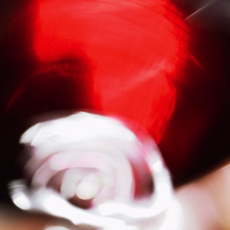 White rose blurred in swirling red light, an abstract mood image for Tempranillo